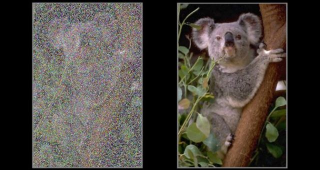 Nvidia AI, Görüntülerden Parazitleri Kaldırarak Fotoğraflarınızı Güzelleştirir